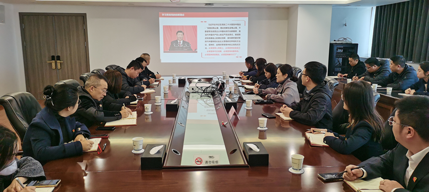 集團(tuán)黨委委員、副總經(jīng)理賀維維同志講授專題黨課