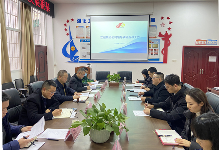 王書記調(diào)研康居公司 王書記調(diào)研康居公司